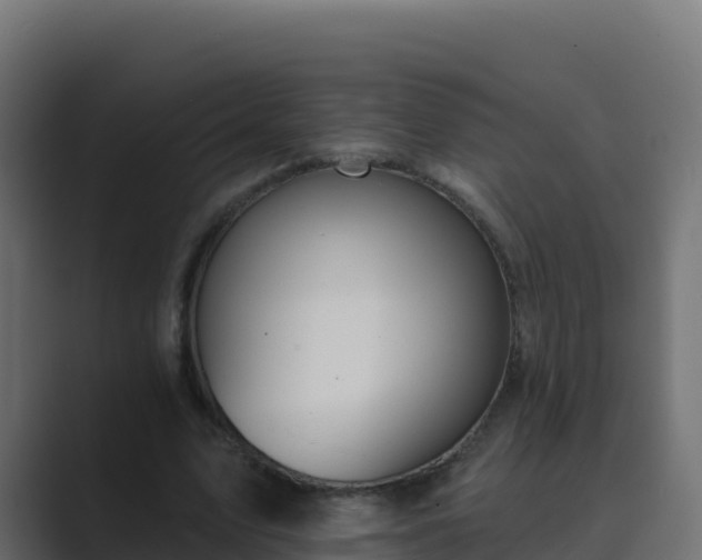 X0000089680583200706281359