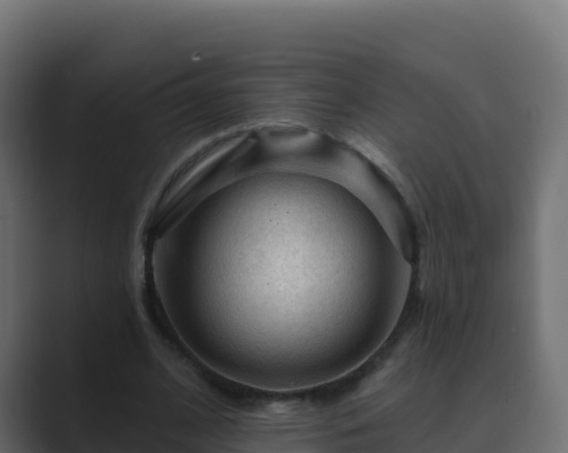 X0000089680584200706281359