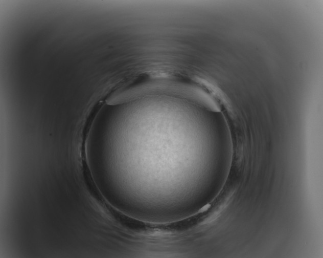 X0000089680585200706281359