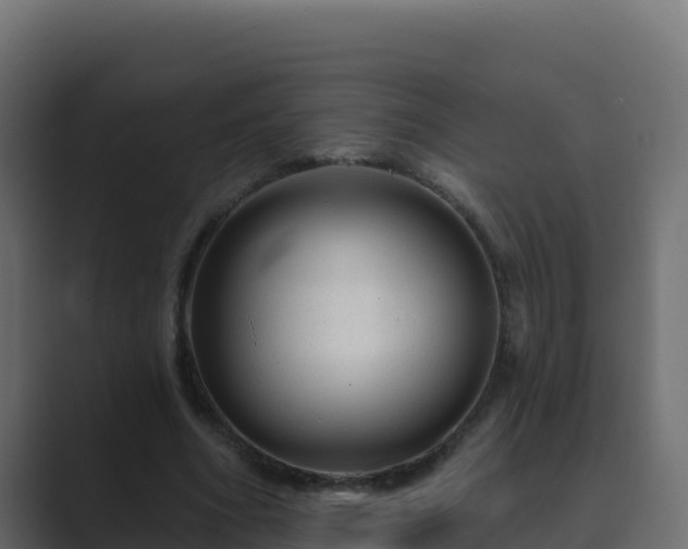 X0000089680586200706281359