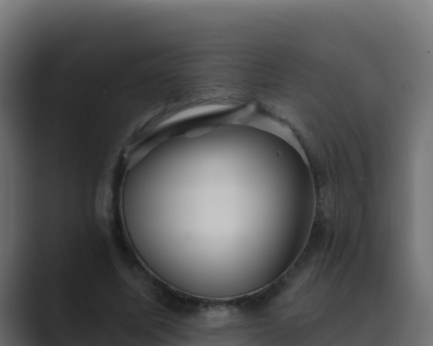 X0000089680587200706281359