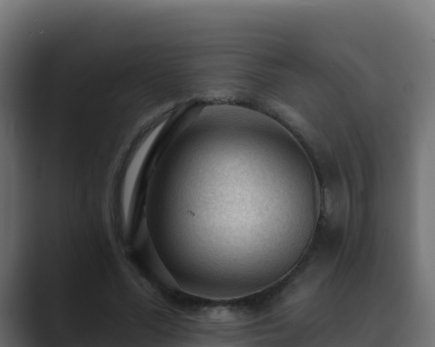 X0000089680588200706281359
