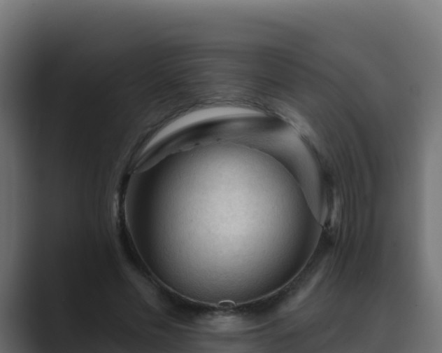 X0000089680589200706281359