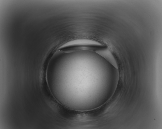 X0000089680591200706281359
