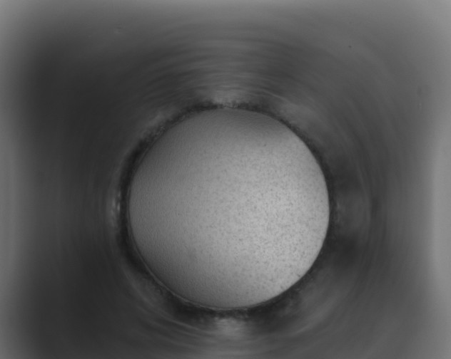 X0000089680592200706281359