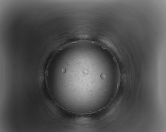 X0000089680593200706281359