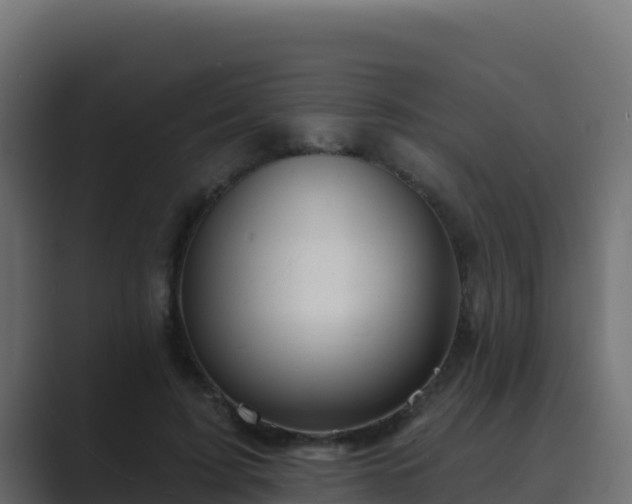 X0000089680595200706281359
