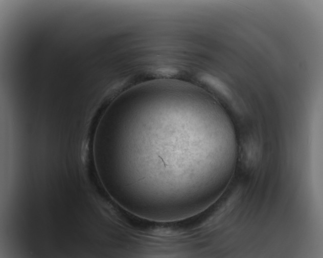 X0000089680596200706281359