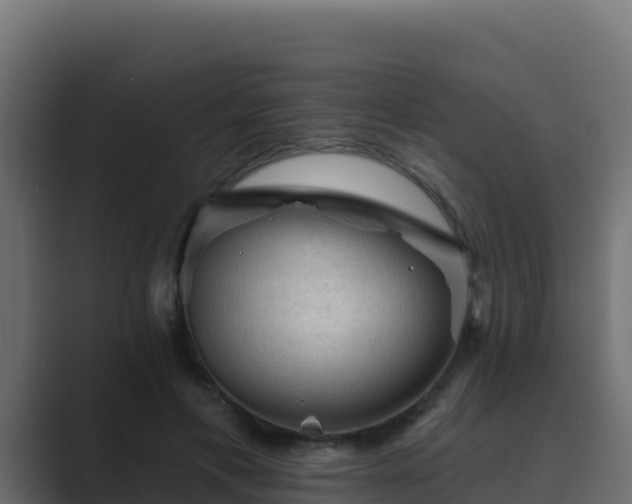 X0000089680597200706281359