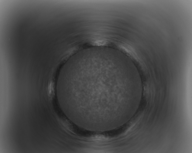 X0000089680598200706281359