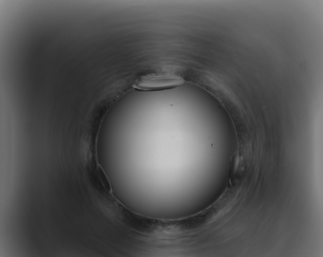 X0000089680599200706281359