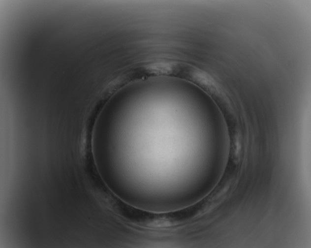 X0000089680600200706281359