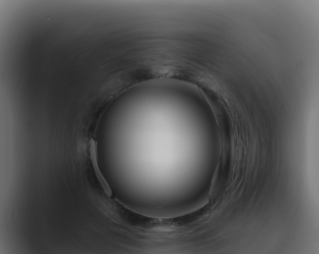 X0000089680601200706281359