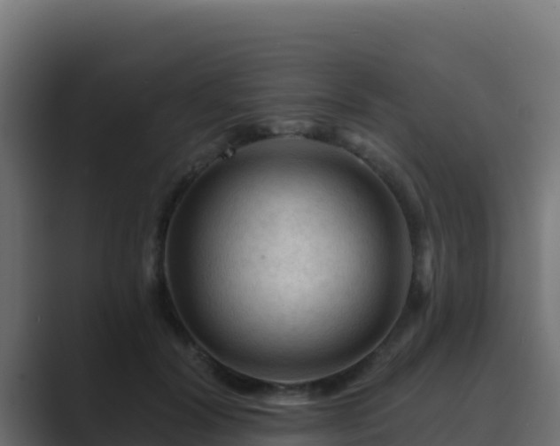 X0000089680604200706281359