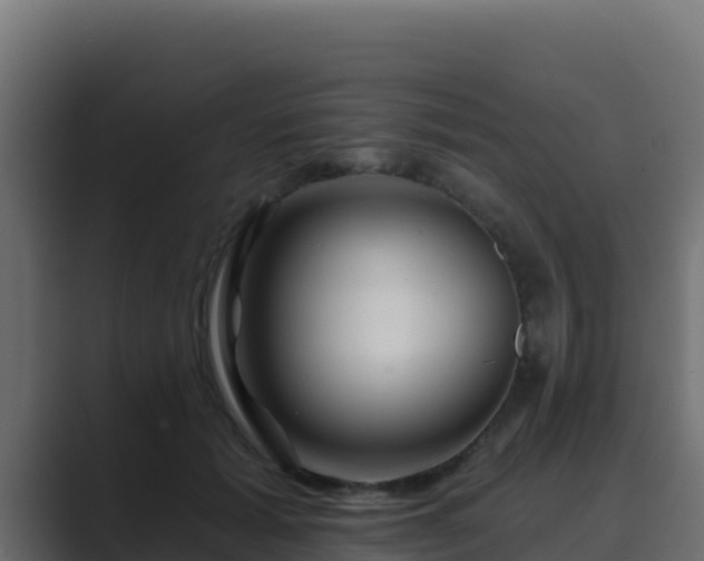 X0000089680605200706281359