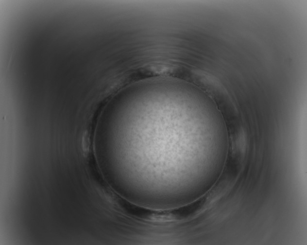 X0000089680606200706281359