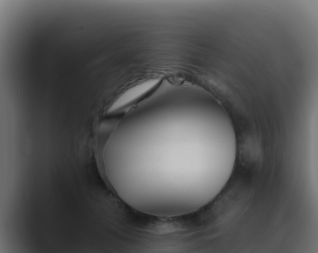 X0000089680608200706281359