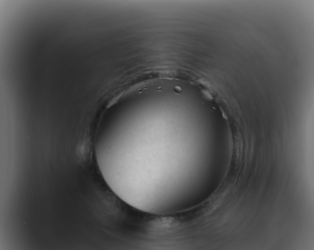 X0000089680609200706281359