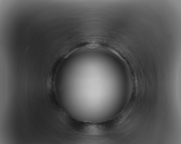 X0000089680611200706281359