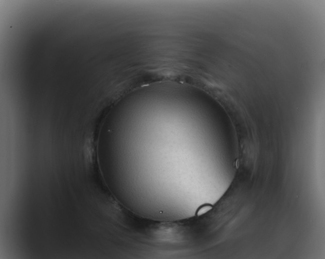 X0000089680612200706281359