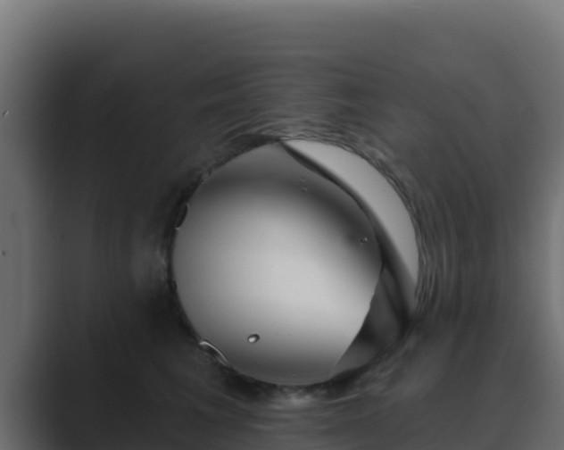 X0000089680613200706281359