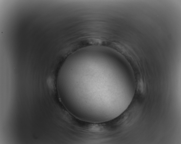 X0000089680616200706281359