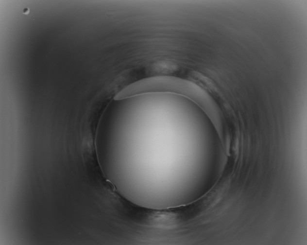 X0000089680617200706281359