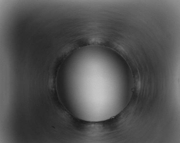 X0000089680619200706281359