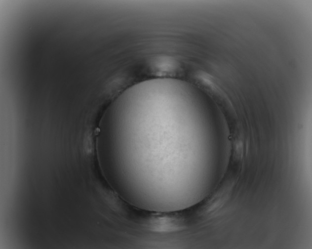 X0000089680620200706281359