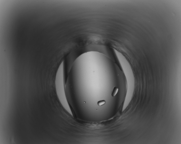 X0000089680621200706281359
