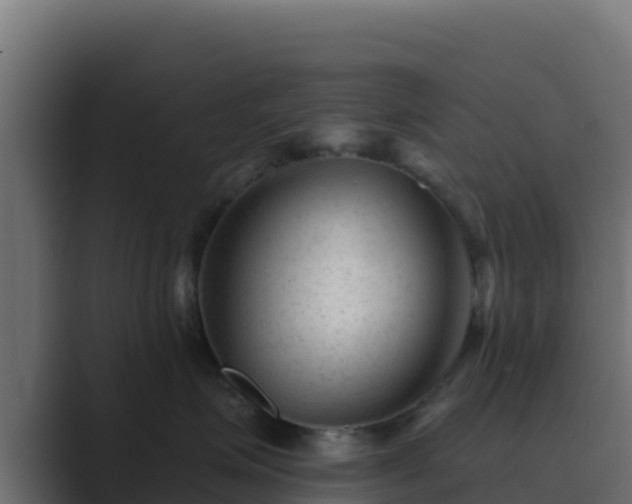 X0000089680623200706281359