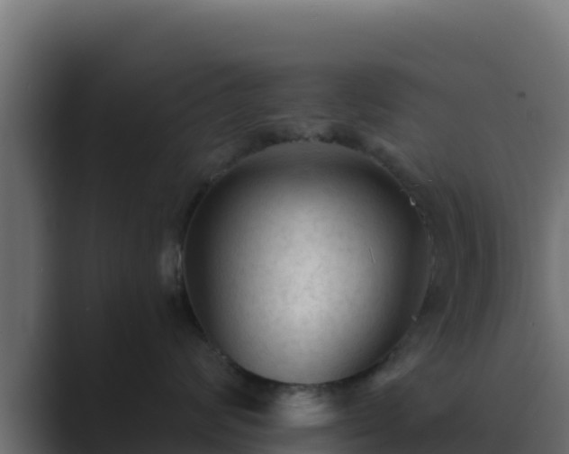X0000089680624200706281359
