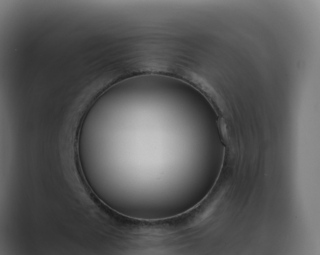 X0000089680625200706281358
