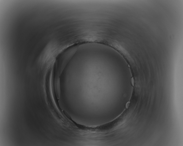X0000089680626200706281358