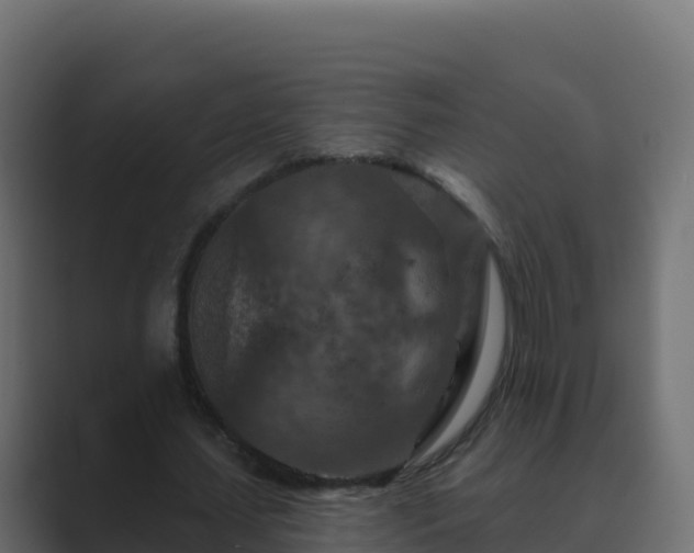 X0000089680627200706281358