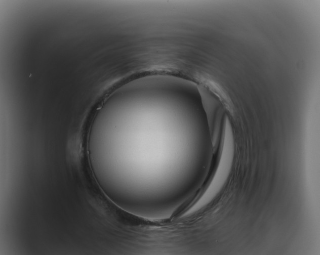 X0000089680628200706281358