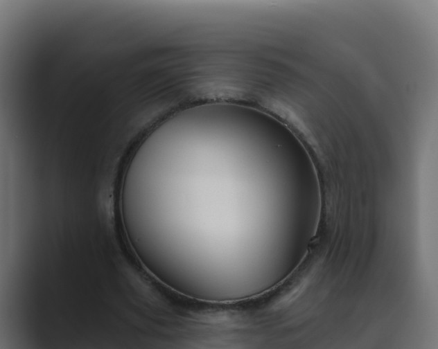 X0000089680629200706281358