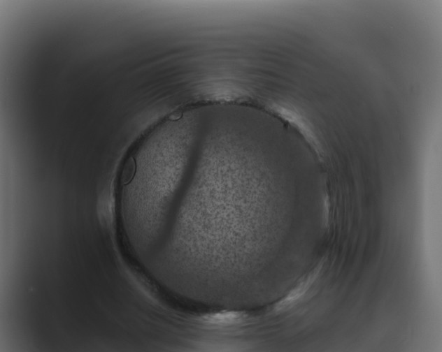 X0000089680630200706281358