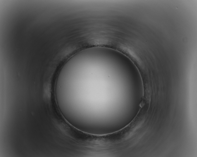X0000089680631200706281358