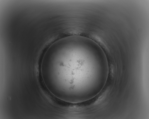 X0000089680634200706281358