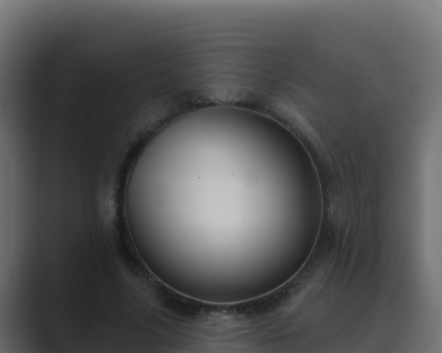 X0000089680635200706281358