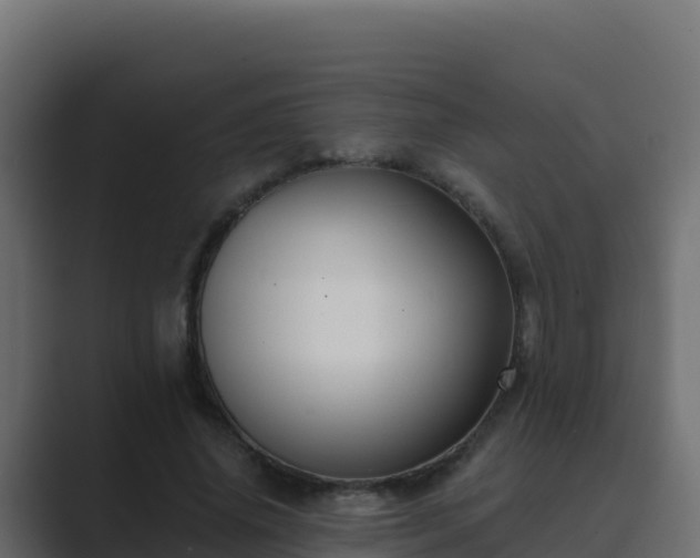 X0000089680636200706281358
