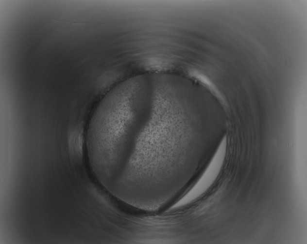 X0000089680637200706281358