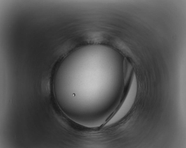 X0000089680638200706281358
