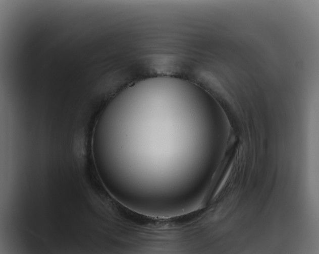 X0000089680639200706281358