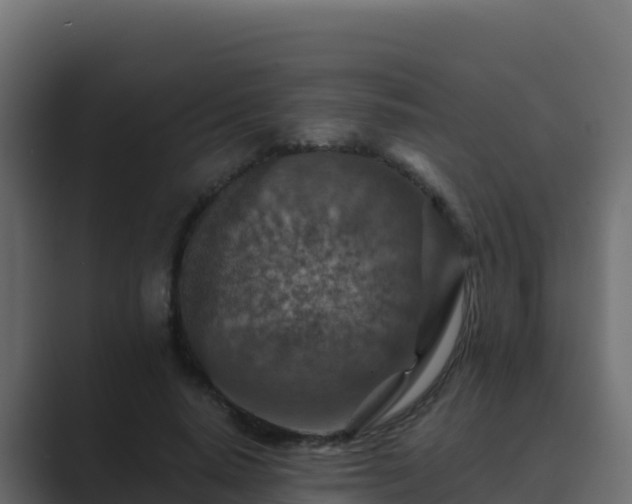X0000089680640200706281358