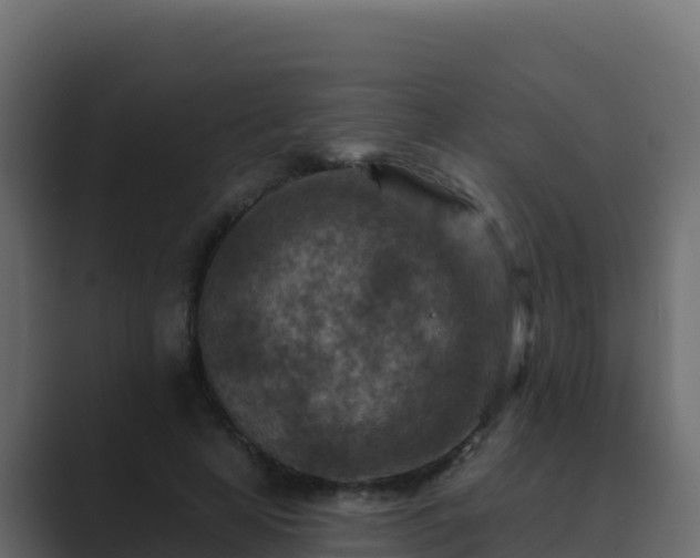 X0000089680641200706281358