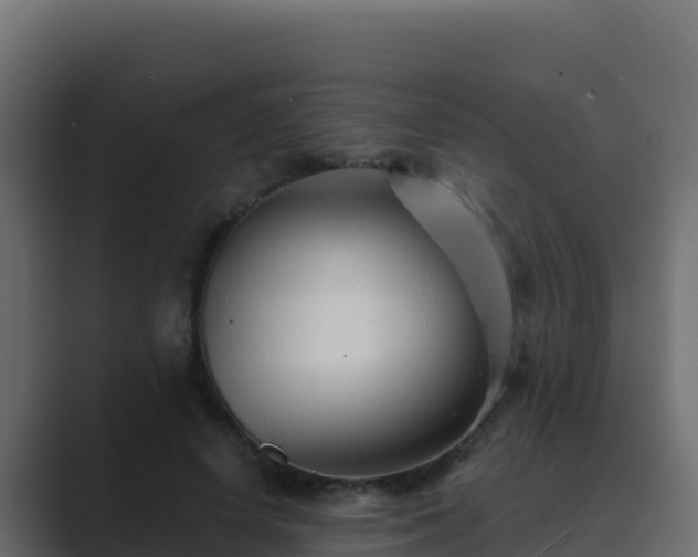 X0000089680642200706281358