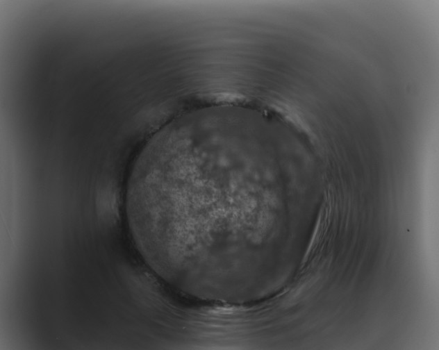 X0000089680643200706281358