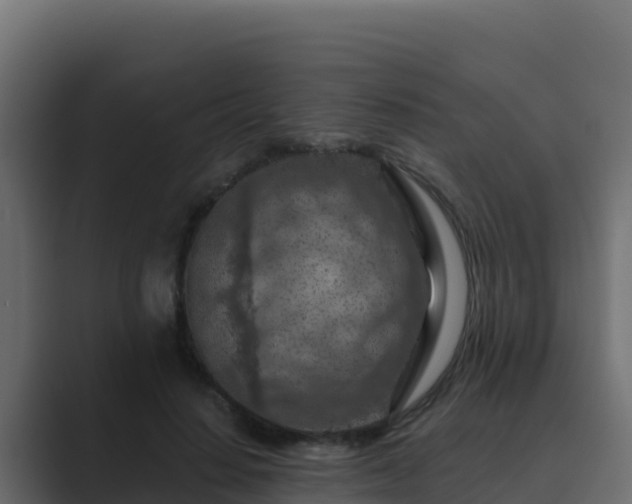X0000089680644200706281358